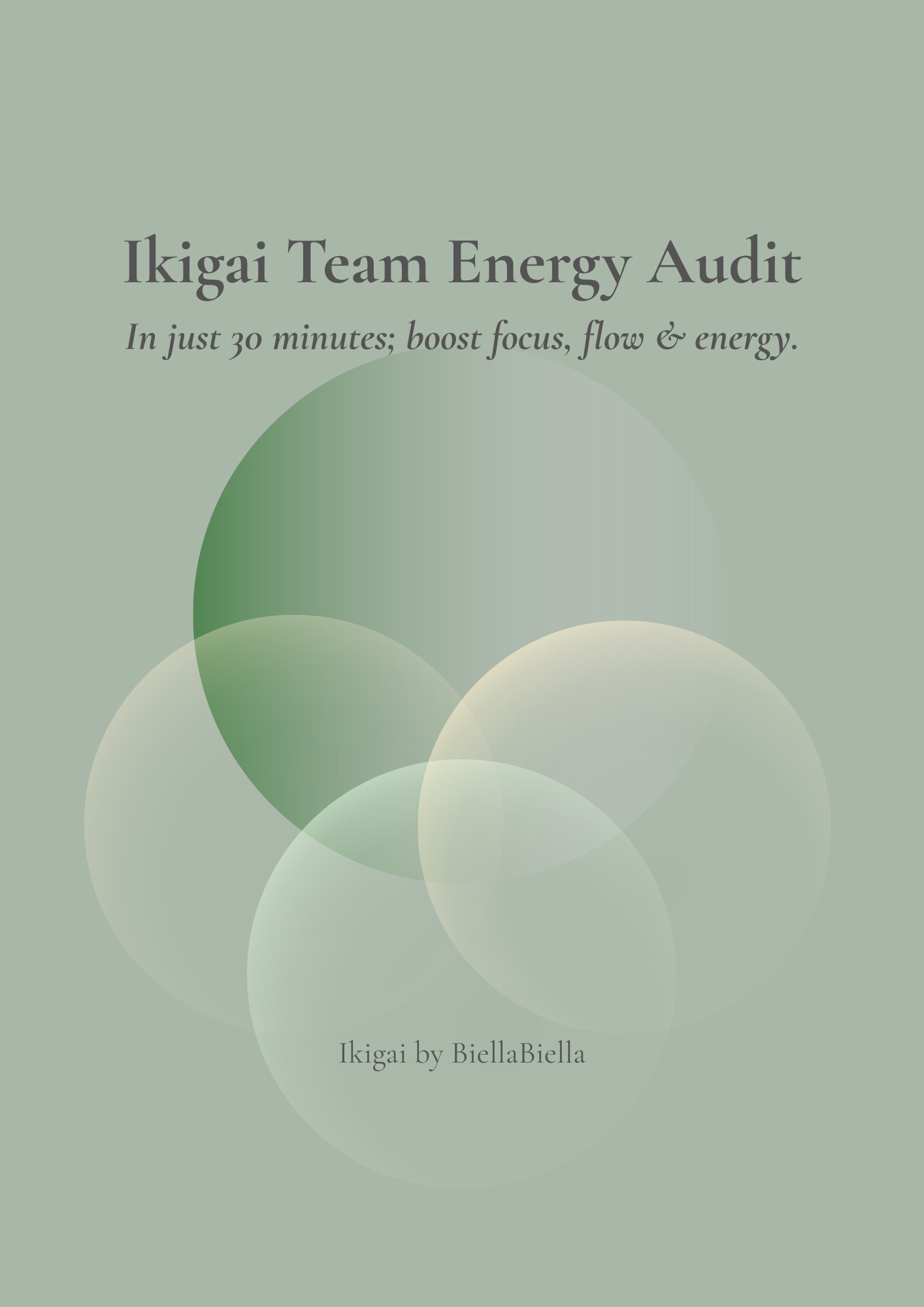 Ikigai Team Energy Audit | Boost Focus, Flow & Energy in 30 Minutes