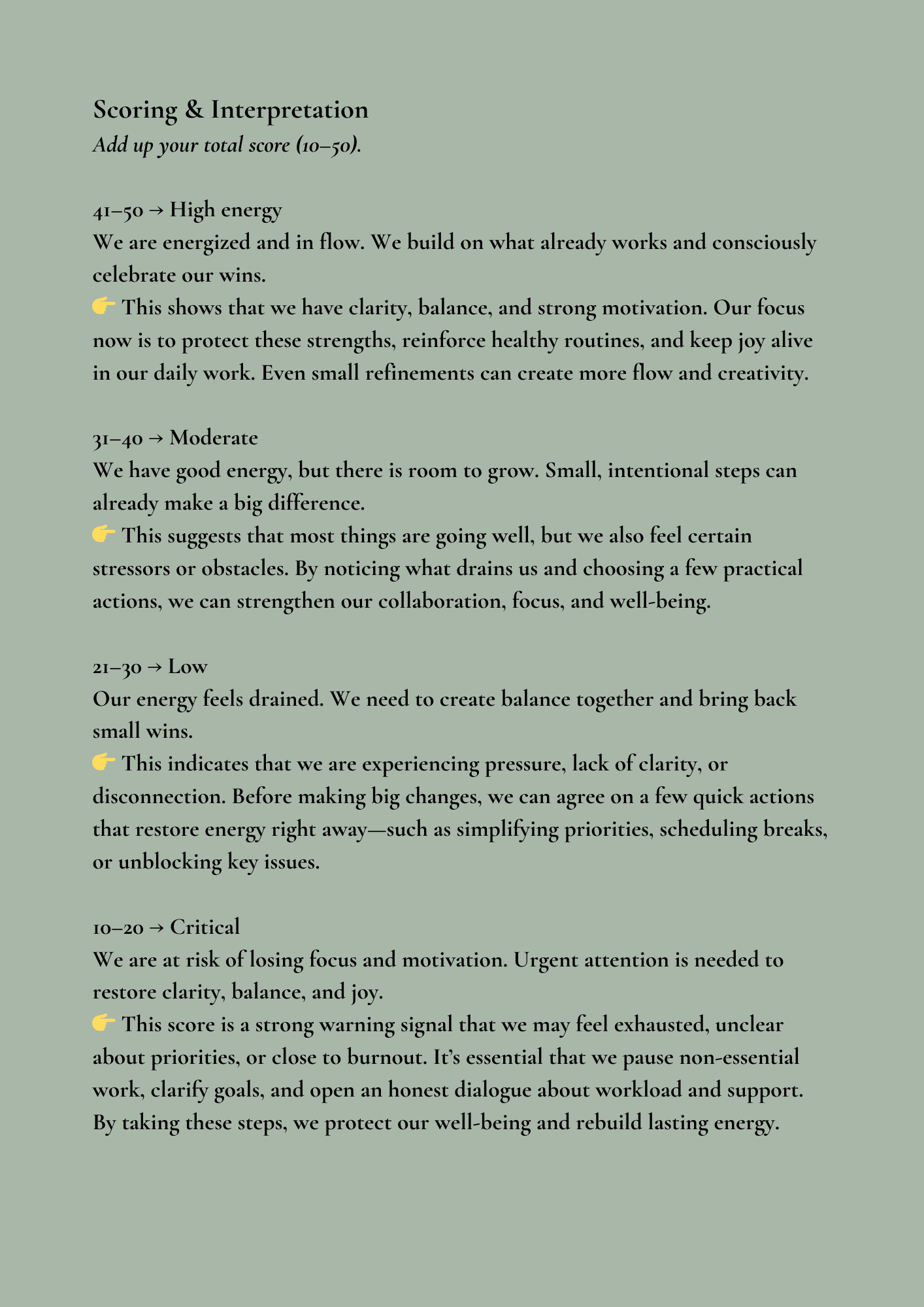 Ikigai Team Energy Audit | Boost Focus, Flow & Energy in 30 Minutes