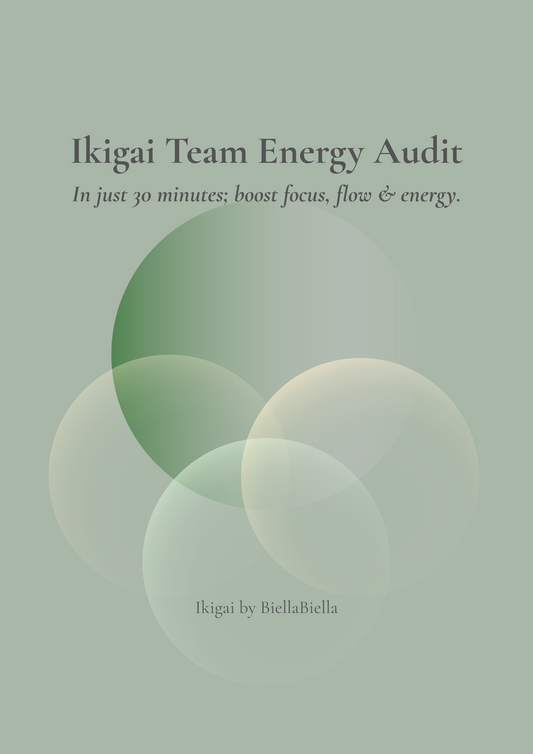 Ikigai Team Energy Audit | Boost Focus, Flow & Energy in 30 Minutes